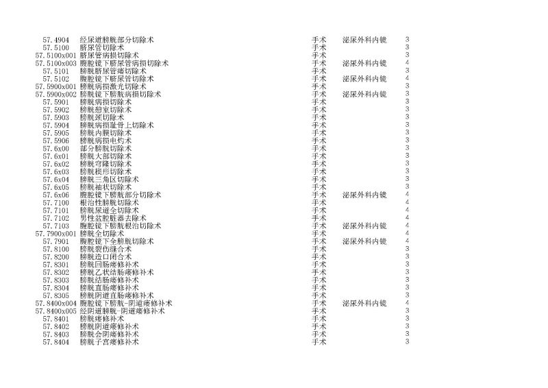 泰康同济（武汉）医院2024年手术操作分级目录_页面_164