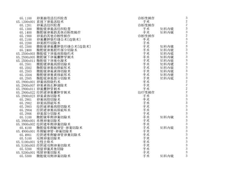 泰康同济（武汉）医院2024年手术操作分级目录_页面_175